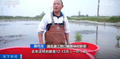 小龙虾越卖越便宜，这些养殖户还在赚钱