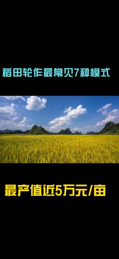 &ldquo;一田多收，藏着农业增收的密码！今天带您1分钟看懂水稻轮作的致富密码