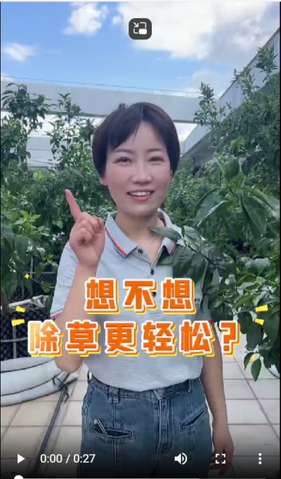 打了除草剂，死草慢，草死了两天又活了，怎么办？我教你一招