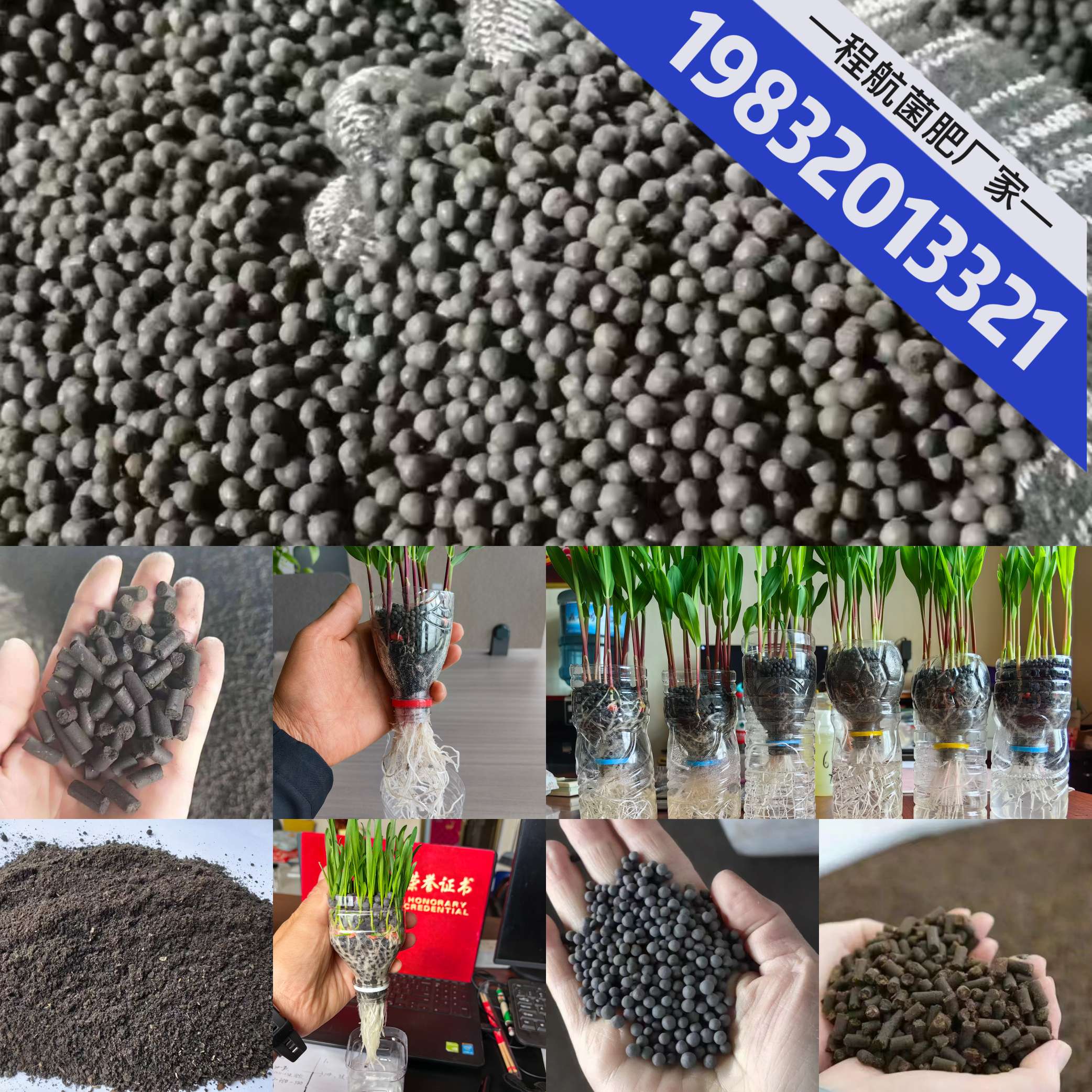 http://st-static1.cnzichai.com/forums/2025/06/25/17508210784306.jpeg