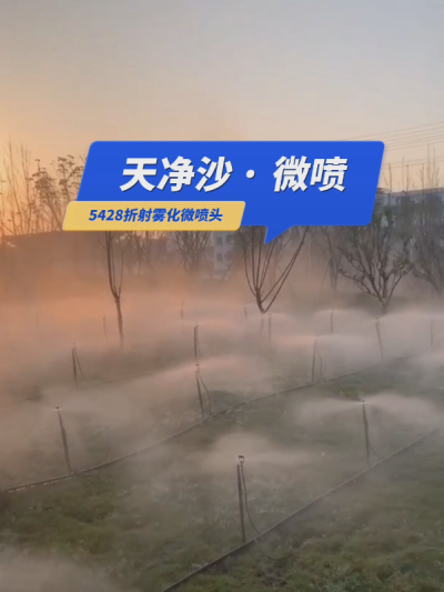 【天净沙&middot;微喷】枯藤老树昏鸦，草地仙境人家，地插微喷雾化，夕阳西下，灌溉，你问，我答！#5428折射雾化微喷头 #微喷 #华维集团