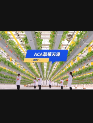 自由升降、追光生长。#ACA草莓天瀑，美爆了！向天再借500平！#ACA可控农业 #华维集团 #数字农业