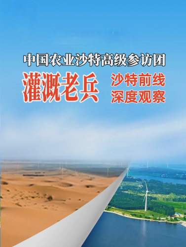#华维沙特行 灌溉之于沙漠之城利雅得的现实意义 #灌溉不止于灌溉 #华维集团