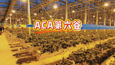 #ACA第六谷 模式，打造#ACA作物工厂，规划建园到栽培种植水肥管理一站式服务！#可控农业 #华维集团