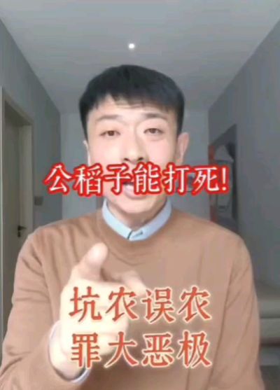 公稻子可以打死？纯属误农！