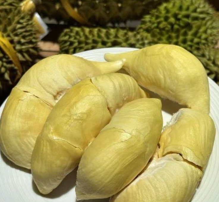 泰国甲仑榴莲
浓香满口，丝滑如奶油
甜甜糯糯，榴莲味浓郁
谁让它是泰国榴莲界的元