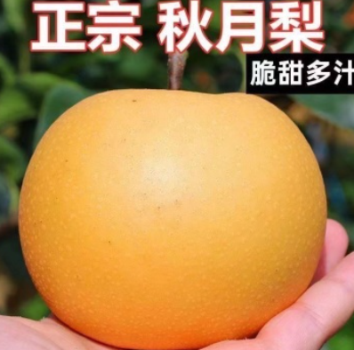 http://st-static1.cnzichai.com/forums/2025/07/29/17537865122719.png