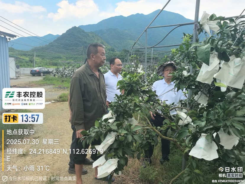 http://st-static1.cnzichai.com/forums/2025/07/31/17539588605789.png