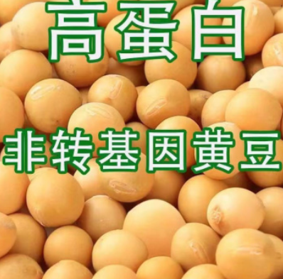 http://st-static1.cnzichai.com/forums/2025/08/06/17544750598565.png
