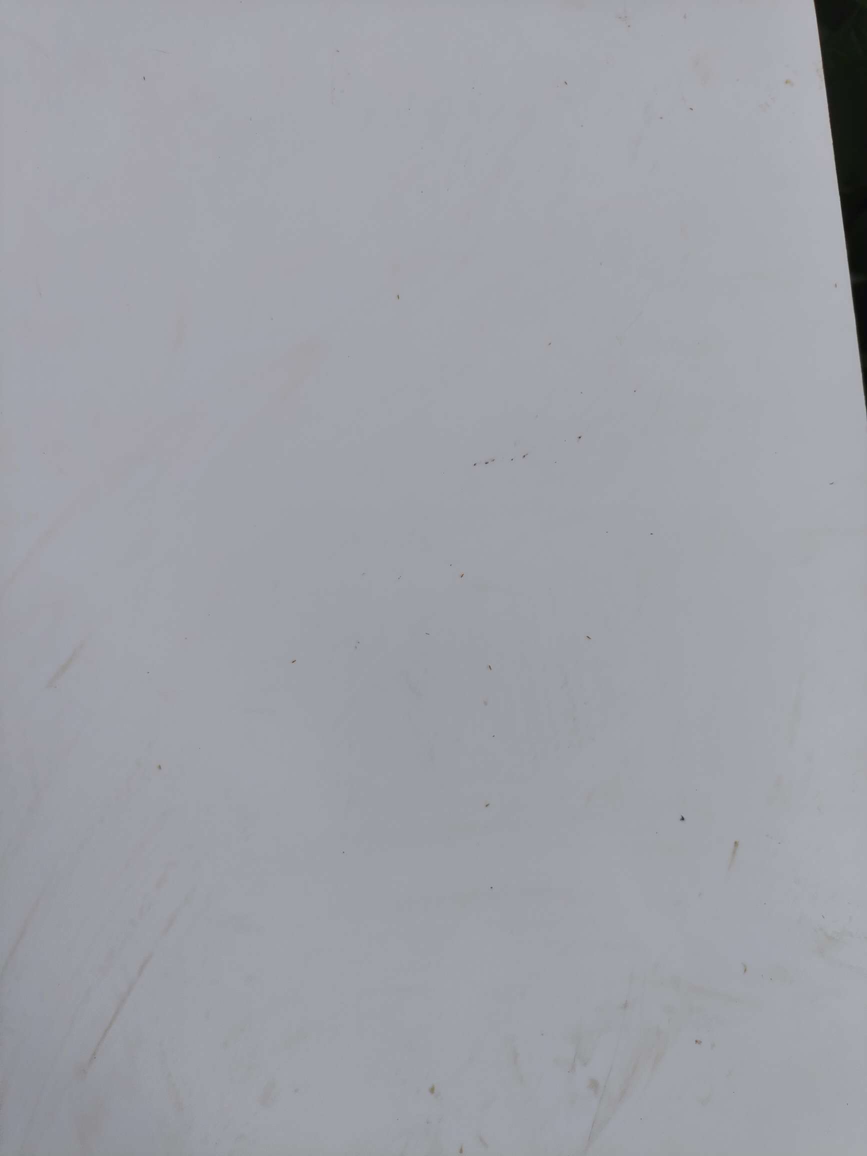 http://st-static1.cnzichai.com/forums/2025/08/18/17555288245629.jpeg
