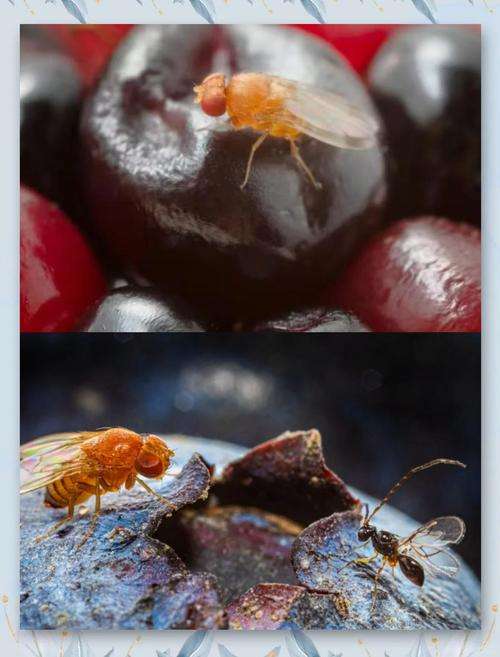 http://st-static1.cnzichai.com/forums/2025/08/30/17565634202382.png