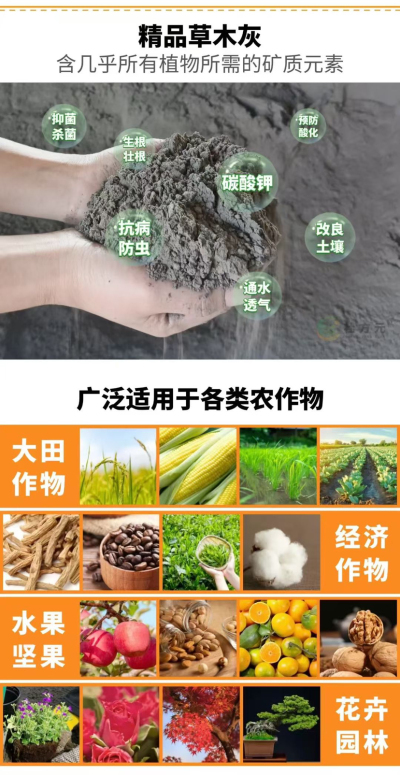 http://st-static1.cnzichai.com/forums/2025/09/06/17571689923312.png