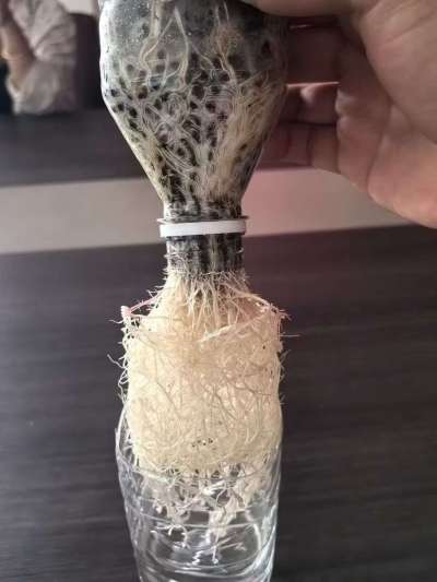 年销售量三十万吨的有机肥生产厂家，全国网点发货，资质齐全，正品保障！有机肥、生物菌肥、微生物肥料等