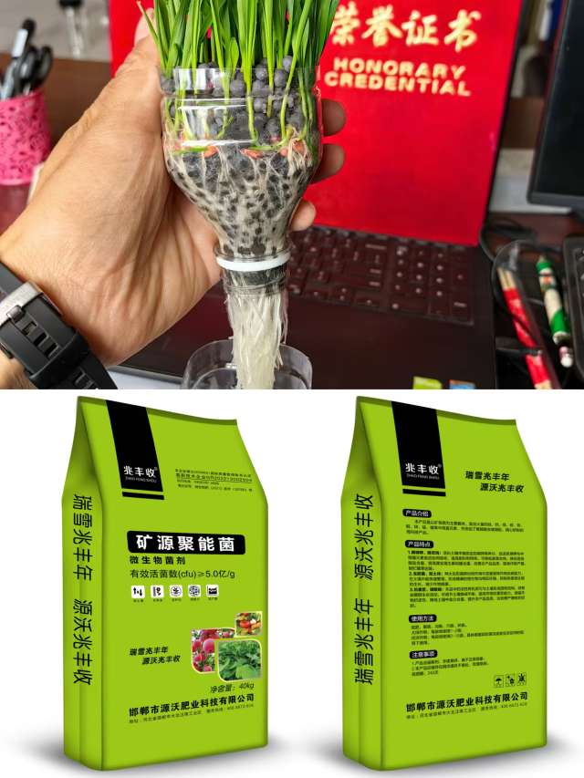 http://st-static1.cnzichai.com/forums/2025/09/27/17589569833781.jpeg