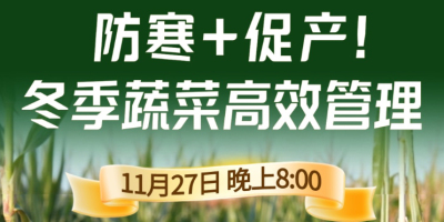 《细说农技》专家张宝林教冬季蔬菜防寒 + 促产高效管理，27 日晚 8 点！