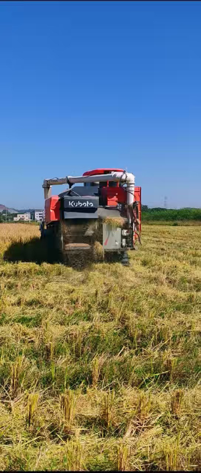 惠州基地，无人拖拉机收水稻了。