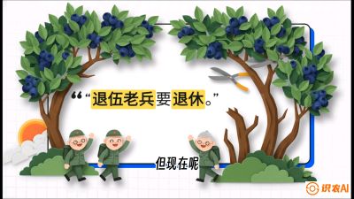 第7节：修剪决定产量（下）&mdash;&mdash;结果树的更新与疏果，课程：《蓝莓&ldquo;高产&rdquo;实战课：从选苗到丰收的10个关键点》