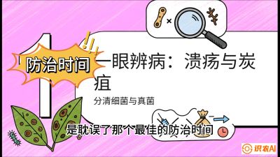 第三节：细菌与真菌&mdash;&mdash;溃疡病与炭疽病，课程：《柑橘十大病虫害：从入门到精通》