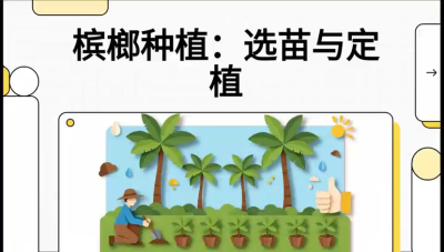 第01节：选苗与定植&mdash;&mdash;&ldquo;苗好一半收，底肥定千秋&rdquo;课程：《槟榔种植：从不懂到精通的10堂必修课》