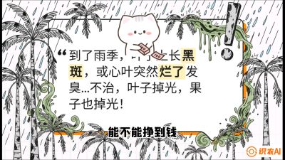 第05节：常见真菌病害&mdash;&mdash;&ldquo;炭疽与烂心，早防值千金&rdquo;《槟榔种植：从不懂到精通的10堂必修课》