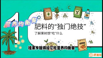 第07节：科学施肥&mdash;&mdash;&ldquo;氮磷钾配好，树壮果不倒