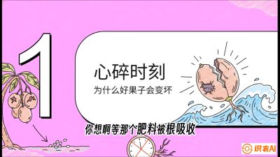 第08节：微量元素与保果&mdash;&mdash;&ldquo;补硼又补钙，果子不裂坏&rdquo;《槟榔种植：从不懂到精通的10堂必修课》