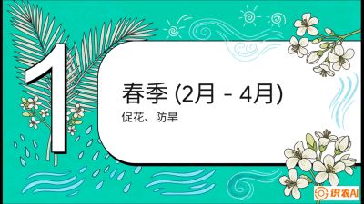 第10节：周年农事日历&mdash;&mdash;&ldquo;跟着节气走，丰产在手头&rdquo;《槟榔种植：从不懂到精通的10堂必修课》