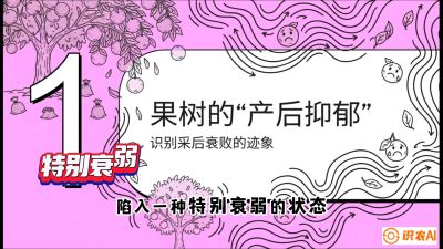 第2节：【冬肥策略】采后&ldquo;月子肥&rdquo;：大小年的精准干预术，课程：《柑橘底肥&ldquo;翻身账&rdquo;：从改土到高产的实战全书》