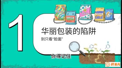 第4节：【黄金配方】底肥里的&ldquo;铁三角&rdquo;与&ldquo;微量雷区&rdquo;课程：《柑橘底肥&ldquo;翻身账&rdquo;：从改土到高产的实战全书》