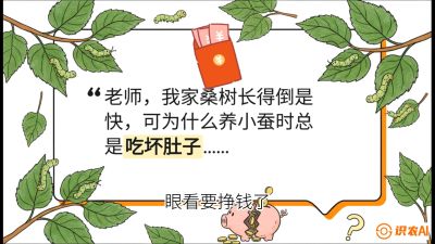 第01节：不仅仅是树&mdash;&mdash;顶级品种选配策略，课程：《桑海淘金：桑树高产与蚕桑安全进阶实战课》