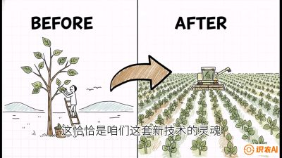 第02节：把树变成草&mdash;&mdash;&ldquo;草本化密植&rdquo;技术，课程：《桑海淘金：桑树高产与蚕桑安全进阶实战课》