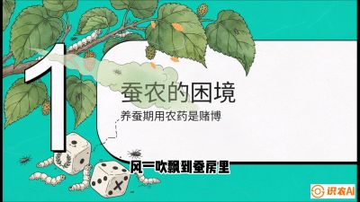 第06节：虫口夺叶（上）&mdash;&mdash;物理与生物防控绝技，课程《桑海淘金：桑树高产与蚕桑安全进阶实战课》