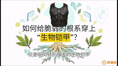 第三节：国产榴莲突围战：根系堡垒，菌根微生态构建与黄金定植窗口，课程：《国产榴莲突围战：从泰国经验到中国实操的8堂必修课（高阶实战版）》