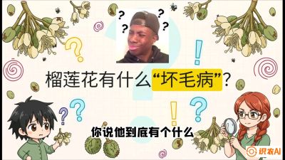 第六节：榴莲的午夜战事，夜间授粉战与花果期避雨策略，课程：《国产榴莲突围战：从泰国经验到中国实操的8堂必修课（高阶实战版）》