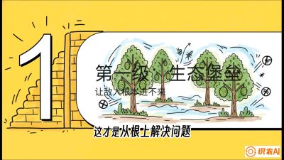 第七节：榴莲防御战：病虫害三级立体防控，疫霉菌与虫害的立体封锁线，课程：《国产榴莲突围战：从泰国经验到中国实操的8堂必修课（高阶实战版）》