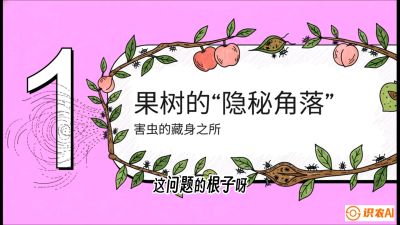 第3节：无人机专治&ldquo;打不透&rdquo;&mdash;&mdash;果树与高杆作物的穿透技巧，课程：《无人机植保搞钱必修课：从&ldquo;瞎飞&rdquo;到&ldquo;懂行&rdquo;的6步进阶》