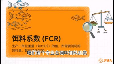 第五节：【高端单品&middot;鳜鱼】&ldquo;饲料鳜&rdquo;技术：打破吃活饵的高成本魔咒，课程：《黄金鳞甲：2025中国淡水鱼高效养殖实战营》