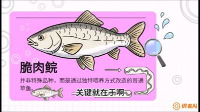 第六节：【老品升级&middot;脆肉鲩】如何让草鱼身价翻倍？，课程：《黄金鳞甲：2025中国淡水鱼高效养殖实战营》