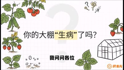 第2节（解毒篇）： 大棚里的&ldquo;红白绿&rdquo;警报&mdash;&mdash;读懂土壤盐渍化的求救信号，课程：《揭秘土壤的秘密：让土地帮你赚钱》#识农AI