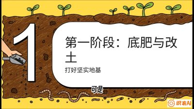 第6节（统筹篇）： 省钱又增产的&ldquo;黄金配比&rdquo;&mdash;&mdash;不同作物全年的养土实操方案，课程：《揭秘土壤的秘密：让土地帮你赚钱》#识农AI
