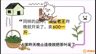 第01节（抢早篇）：与老天爷抢饭吃：如何利用&ldquo;温差阈值&rdquo;让头采茶提前5天上市？，课程：《茶金时代：从&ldquo;看天吃饭&rdquo;到&ldquo;精准控局&rdquo;的茶叶高产提质实战课》