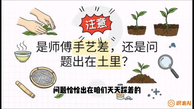 第02节（土肥篇）：告别&ldquo;苦涩水味&rdquo;：揭秘&ldquo;碳氮比&rdquo;调控术，种出自带兰花香的好茶底，课程：《茶金时代：从&ldquo;看天吃饭&rdquo;到&ldquo;精准控局&rdquo;的茶叶高产提质实战课》