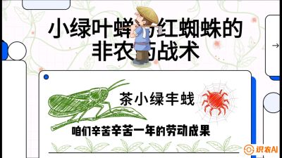 第03节（虫害篇）：看不见的吸血鬼：小绿叶蝉与红蜘蛛的&ldquo;非农药&rdquo;团灭战术（抗性治理），课程：《茶金时代：从&ldquo;看天吃饭&rdquo;到&ldquo;精准控局&rdquo;的茶叶高产提质实战课》