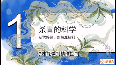 第05节（加工篇）：决胜2分钟：用&ldquo;数字温控&rdquo;破解杀青不匀，复刻大师级手工口感，课程：《茶金时代：从&ldquo;看天吃饭&rdquo;到&ldquo;精准控局&rdquo;的茶叶高产提质实战课》