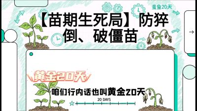 第2节：【苗期生死局】防猝倒、破僵苗，决定后期产量的&ldquo;黄金20天&rdquo;，课程：《辣椒种植实战特训营，从工业辣椒到精品小米辣，教你如何把&ldquo;草&rdquo;种成&ldquo;金&rdquo;》