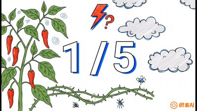 第6节：【花果爆发术】落花落果的五大元凶，与&ldquo;三喷一保&rdquo;坐果黑科技，课程：《辣椒种植实战特训营，从工业辣椒到精品小米辣，教你如何把&ldquo;草&rdquo;种成&ldquo;金&rdquo;》