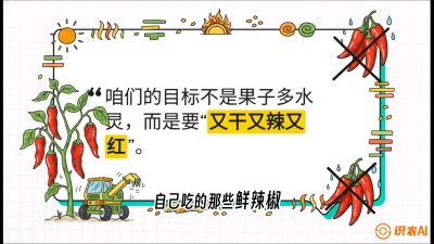 第7节：【工业辣椒专场】追求极致辣度！干物质提升与机械化采收的&ldquo;催红秘籍&rdquo;，课程：《辣椒种植实战特训营，从工业辣椒到精品小米辣，教你如何把&ldquo;草&rdquo;种成&ldquo;金&rdquo;》