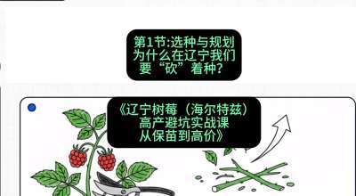 第一节： 选种与规划&mdash;&mdash;为什么在辽宁我们要&ldquo;砍&rdquo;着种？，课程：《辽宁树莓（海尔特兹）高产避坑实战课：从保苗到高价》