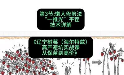 第三节： 懒人修剪法&mdash;&mdash;&ldquo;一推光&rdquo;平茬技术详解，课程：《辽宁树莓（海尔特兹）高产避坑实战课：从保苗到高价》