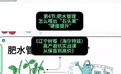 第四节： 肥水管理&mdash;&mdash;怎么喂出&ldquo;石头果&rdquo;（硬度提升），课程：《辽宁树莓（海尔特兹）高产避坑实战课：从保苗到高价》